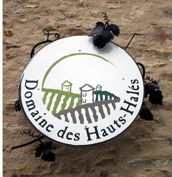 Benoit Chéreau domaine des hauts haliés vignoble