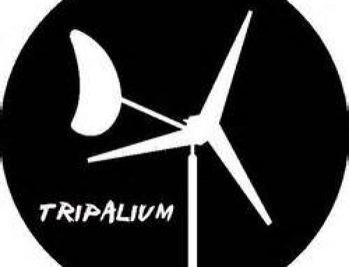 Tripalium