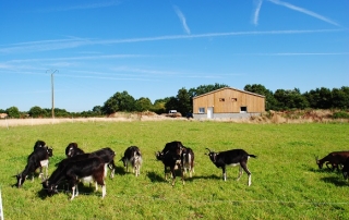 ferme-cabrioles-44