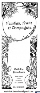 feuilles-fruits-compagnie-tisane