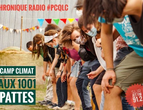 Plus chaud que le climat – Un camp climat aux 1001 pattes
